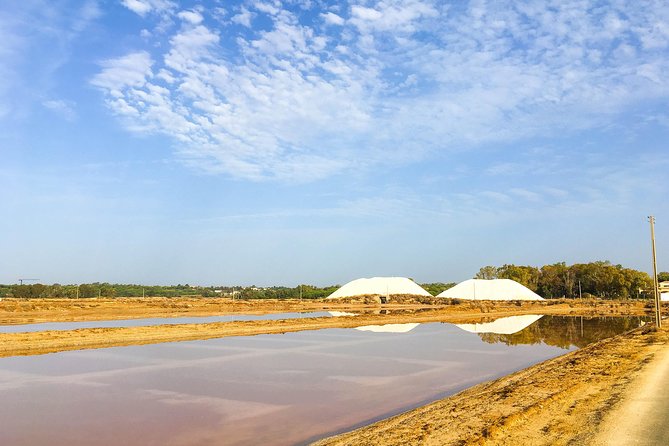 Ria Formosa Natural Park Birdwatching Segway Tour From Faro - Booking and Logistics