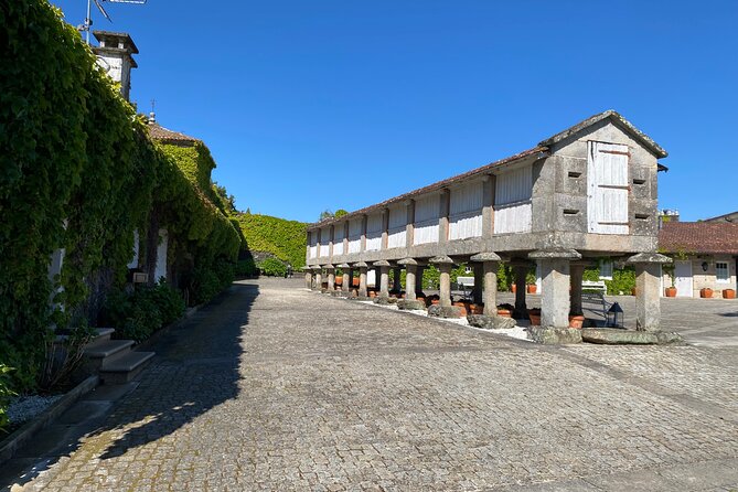 Rias Baixas Private Wine Tasting Tour in a Porsche Taycan - Common Questions