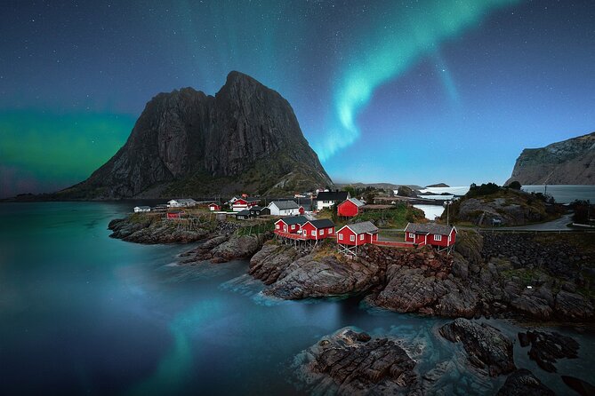 RIB Sea Eagle Safari Trollfjord Cruise - Lowest Price Guarantee
