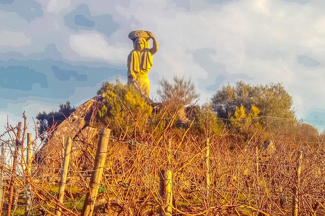Ribeira Sacra, "Heroic Wines" Private Tour From Santiago - Booking and Contact Information