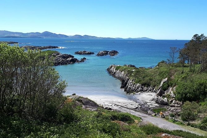 Ring of Kerry Private Day Tour - Common Questions