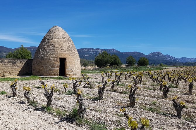 Rioja Full Experience Tour From San Sebastian With Lunch - Common Questions