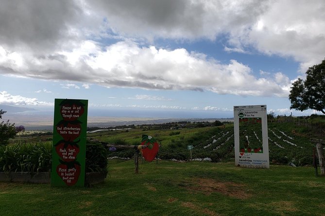 Road to Hana Adventure - Private - Just for Your Family or Group - The Sum Up