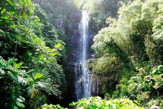 Road to Hana Rainforest, Black Sand Beach, Waterfalls & Lunch - Common Questions