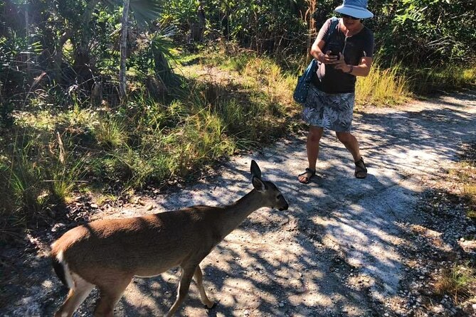 Road Trip Through the Lower Keys Audio Tour - The Sum Up