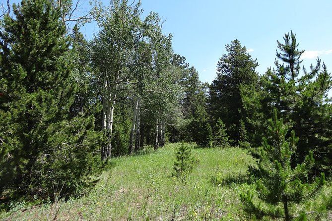 Rockies Guided Half-Day Small-Group Hike From Denver - Expectations and Requirements