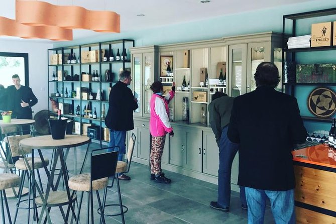 Ronda Private Wine Tour and Tapas From Marbella - Winery Visit and Tasting