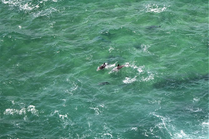 Royal National Park Tour - Directions