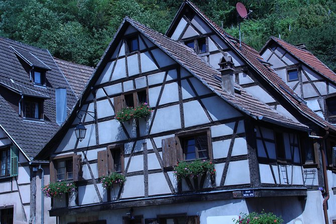 Safari-Tour Village Du Vignobles: 1 Day, 4 Villages & 1 Wine Tasting - Experience the Vibrant Culture of D