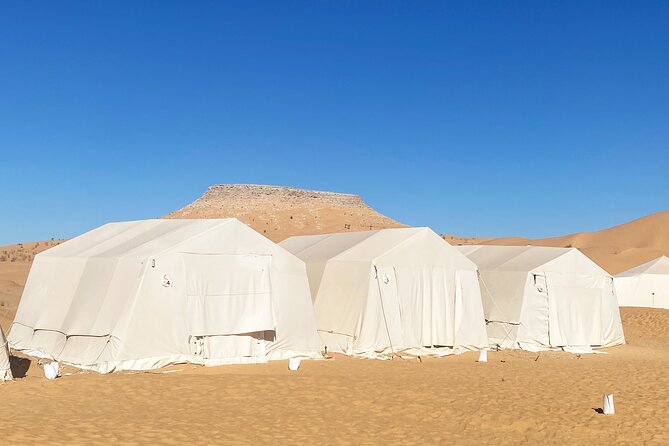 Sahara Desert Safari With Overnight Camping From Tunis - Common Questions