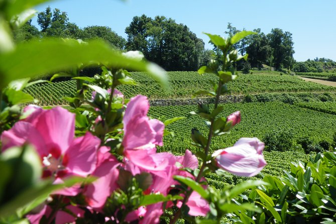 Saint Emilion Wine Tour Half Day - Booking Details