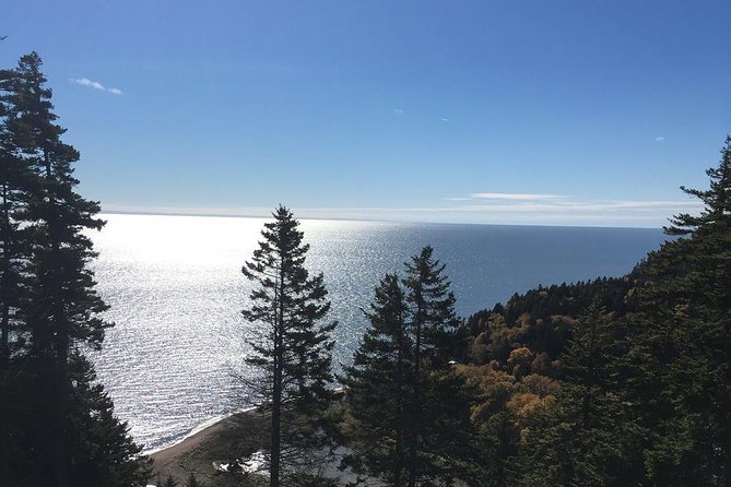 Saint John Cruise Ship Shore Tour to Bay of Fundy - Important Information for Travelers