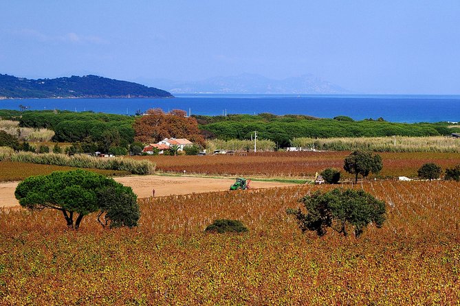 Saint Tropez Full Day Tour by Van - The Sum Up