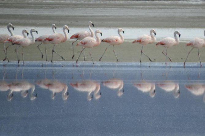 Salinas Small Group Tour (Min 3 - Max 8 People) - Important Terms and Conditions