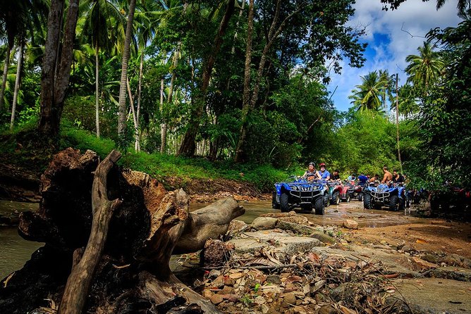 Samui ATV Quad Bike 1 Hour Tour - Tour Guidelines and Restrictions