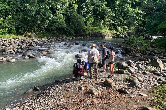 San Juan Small-Group Rain Forest Hike - The Sum Up