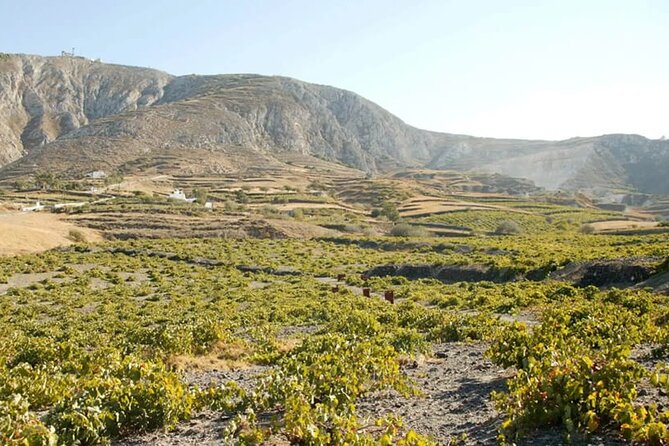 Santorini Wine Tasting: Private Tour With a Certified Wine Guide - Common Questions