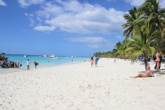 Saona Island Excursion From Bayahibe - What to Expect