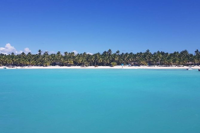 Saona Island: Full-Day, Small-Group Tour From Punta Cana - Saona Island Location