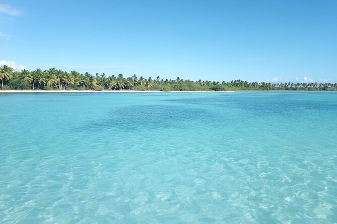 Saona Island, Mano Juan, Natural Pool by Catamaran  - Dominican Republic - Booking Details and Pricing Information