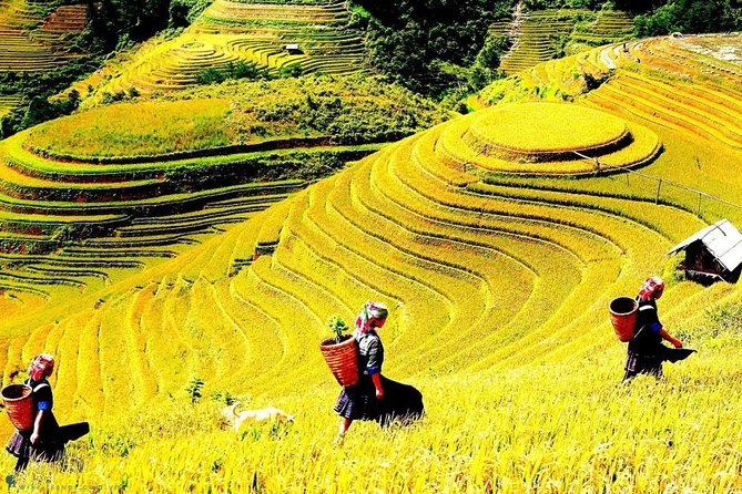 Sapa 2 Days Trek With 1 Night Homestay - Common Questions