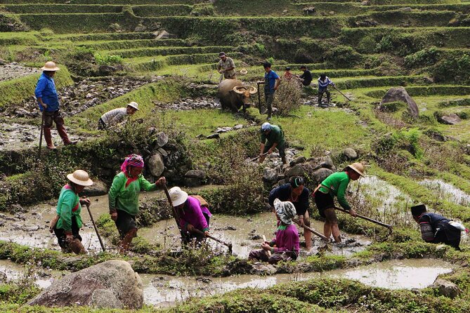 Sapa Hmong Family Trekking Adventures - Local Guides and Expertise