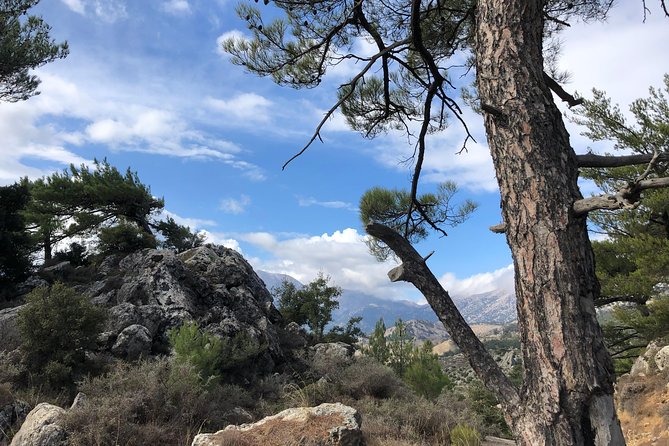 Sarakina Gorge & High Mountains & South Coast & (Luxury Adventure) - Common Questions