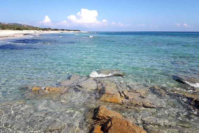 Sardinia Coastline and Inland Countryside Tour by 4x4 - Pricing and Terms