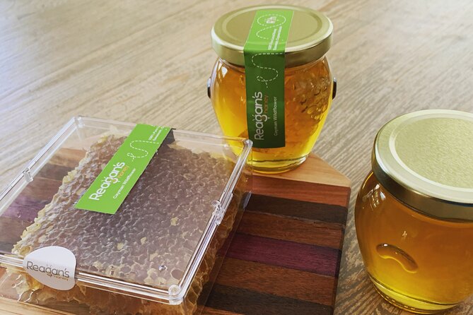 Savannah Small-Group Beekeeping Tour  - Grand Cayman - Cancellation Policy and Weather Conditions