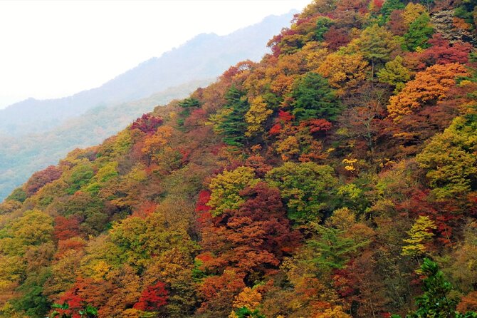 Scenic Jiri Mountain Autumn Foliage One Day Tour - Cancellation Policy