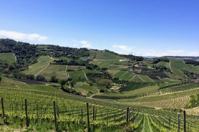 Scenic Langhe Hike and Wine Tasting From Alba  - Langhe-Roero and Monferrato - Itinerary