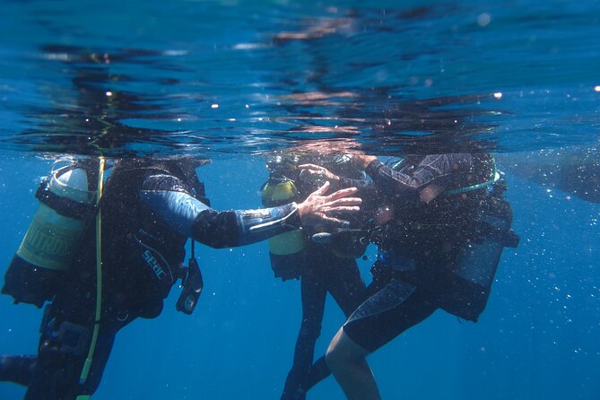 Scuba Diving Adventure in Santorini - Flexible Cancellation Policy and Refunds for Poor Weather Conditions