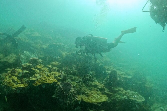 Scuba Diving for Certified Divers in Phu Quoc Island - Essential Tips for an Unforgettable Diving Experience in Phu Quoc