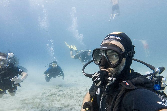 Scuba Diving From Bodrum - Location and Meeting Point