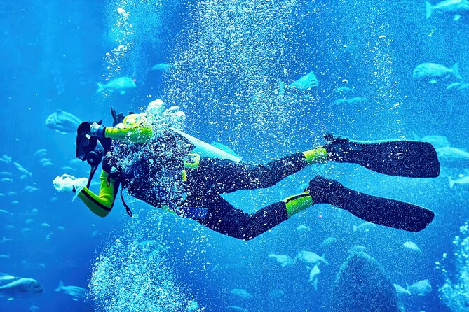 Scuba Diving Tour From Abu Dhabi to Dubai - Waiting Instructions