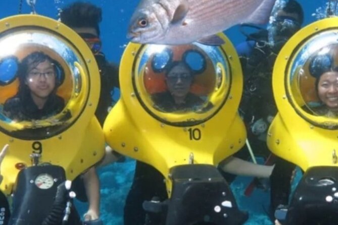 Scuba Doo Diving Sooters - Scuba Doo Diving Scooter Maintenance and Care