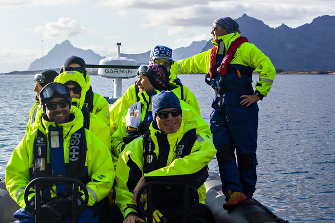 Sea Eagle Safari From Svolvær to Trollfjorden - Pricing and Terms