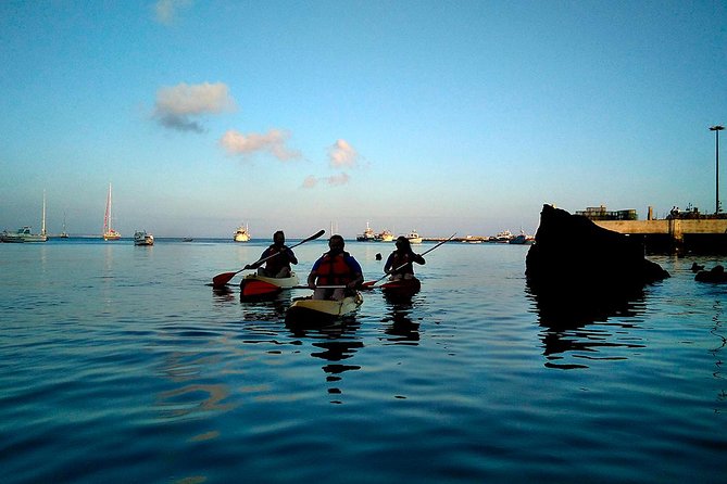 Sea Kayaking in Cascais Bay, Lisbon - Private Group - Common Questions