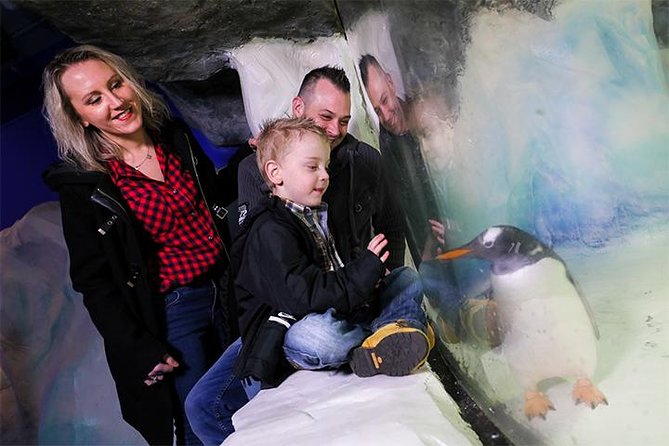 SEA LIFE Birmingham Admission Ticket - Common Questions