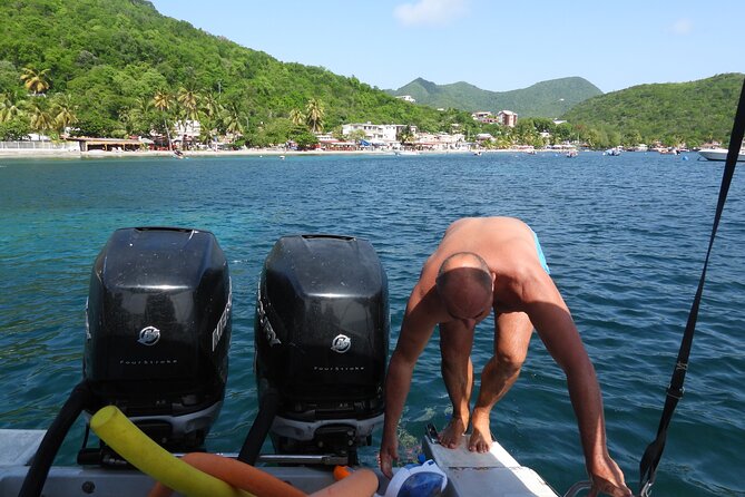 Sea Turtles and Snorkeling - Common Questions