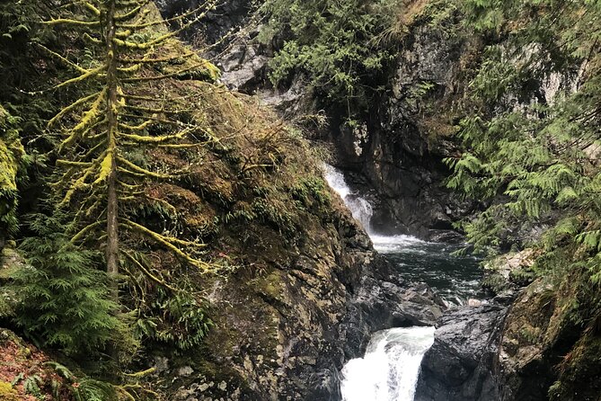 Seattle Waterfall Experience - Common Questions