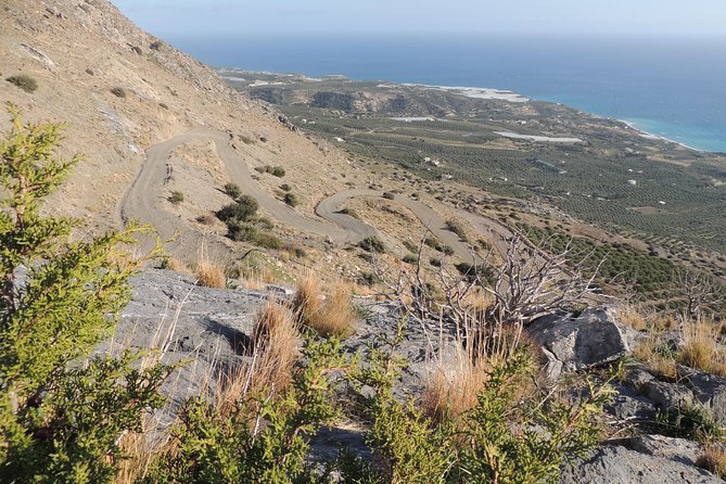 Secrets of the Southern Crete Safari Tour - Indulging in a Taverna Lunch