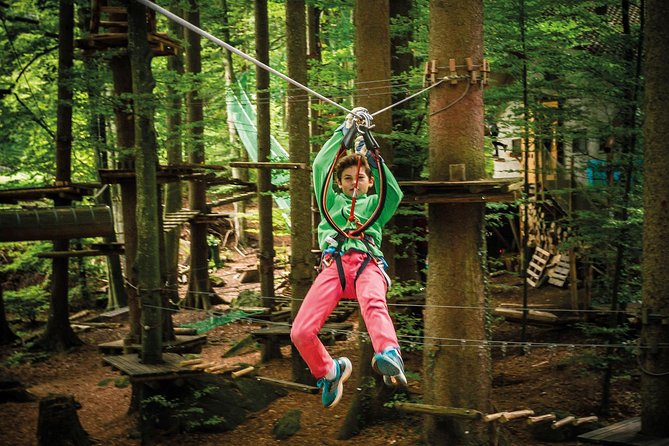 Seilpark High-Ropes Adventure Park Admission in Interlaken - Tips for a Memorable Adventure Experience