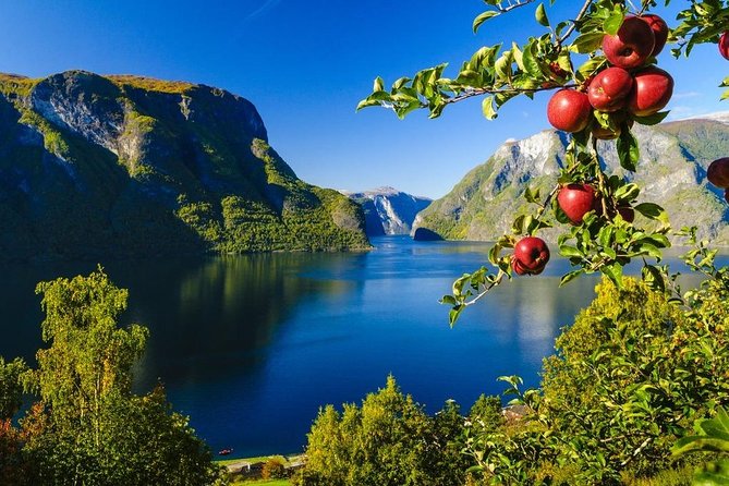Self-Guided Day Tour - Premium Nærøyfjord Cruise & Flåm Railway - Flam Railway Experience
