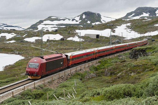 Self-Guided Flåm Day Tour - Incl Sognefjord Express Cruise and Flam Railway - The Sum Up