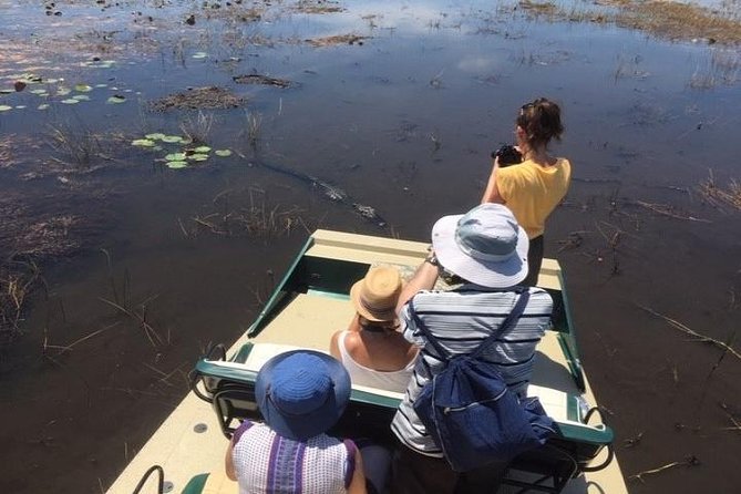 Semi-Private 1-Hour Airboat Tour of Miami Everglades - Pricing and Details