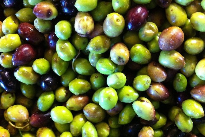 Semi Private Wine and Olive Oil Tour (Transfer & Lunch Incl.) - Background Information