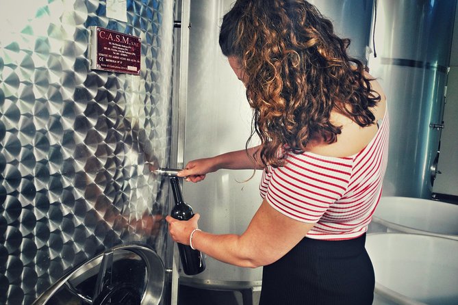 Sensory Tasting With Organic Wines - Organic Wine Varieties to Try