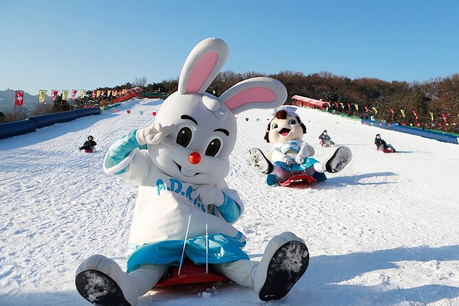 Seoulland Theme Park & Seoul Grand Park Zoo Discount Ticket(서울랜드동물원 패키지) - How to Book Tickets and Contact Support for Assistance