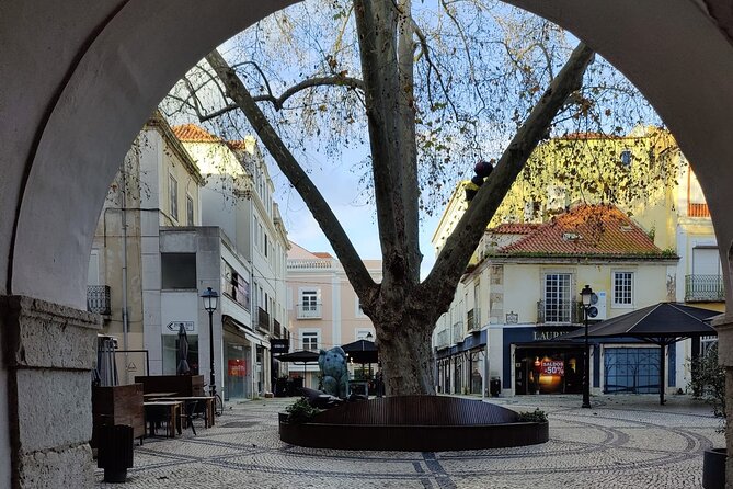 Setúbal: Private Walking Tour - Common Questions